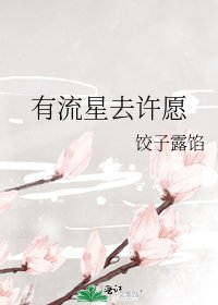 《有流星去许愿》