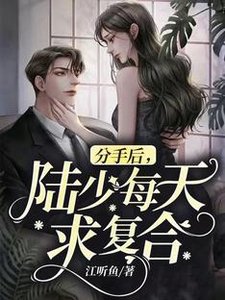 《分手后,陆少每天求复合》