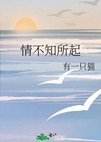 《情不知所起》