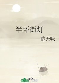 《半坏街灯》