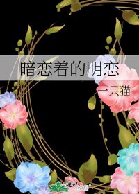 《暗恋着的明恋》