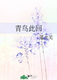 《青鸟此回》