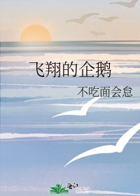 《飞翔的企鹅》