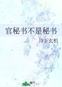 《官秘书不是秘书》