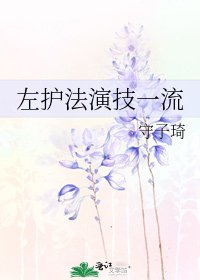 《左护法演技一流》