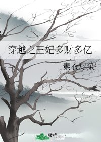 《穿越之王妃多财多亿》