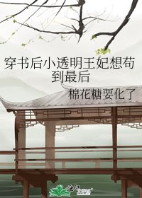 《穿书后小透明王妃想苟到最后》