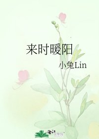 《来时暖阳》