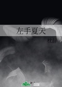 《左手夏天》