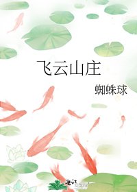 《飞云山庄》