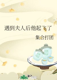 《遇到夫人后他起飞了》