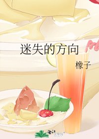 《迷失的方向》