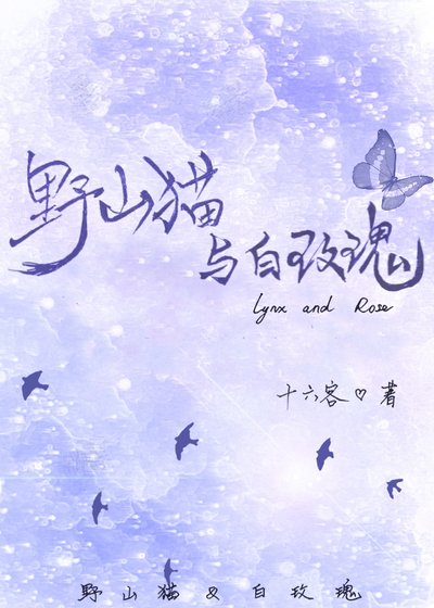 野山猫与白玫瑰