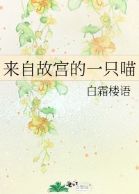 《来自故宫的一只喵》