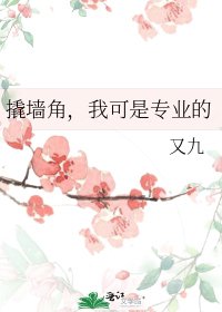 《撬墙角,我可是专业的》