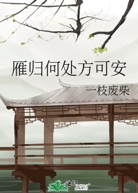 雁归何处方可安