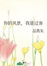 《你的风景,我是过客》