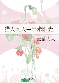 《猎人同人—半米阳光》