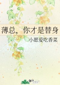 《薄总,你才是替身》
