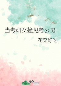 《当考研女撞见考公男》