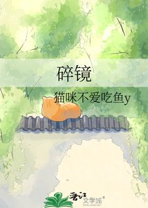 《碎镜》