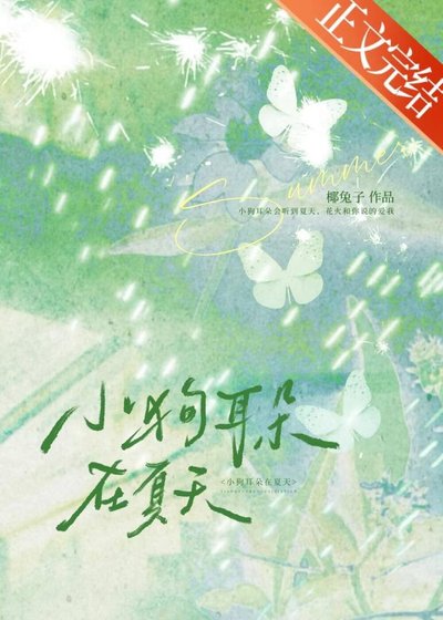 《小狗耳朵在夏天》