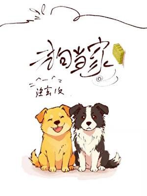 二狗当家