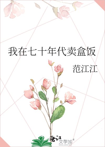 《我在七十年代卖盒饭》