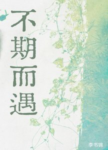 《不期而遇》