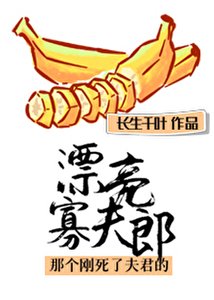 《刚死了夫君的漂亮寡夫郎》