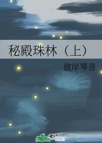 秘殿珠林（上）