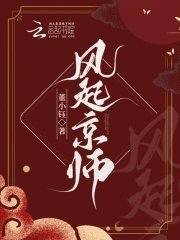 《风起京师》