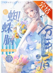 （猎人同人）和蜘蛛脑分手后我失忆了