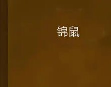 《锦鼠(gl)》
