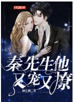 《秦先生他又宠又撩》