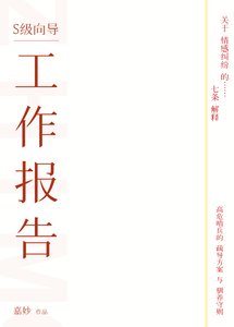 S级向导工作报告