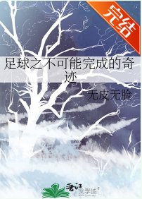 《(足球同人)足球之不可能完成的奇迹》