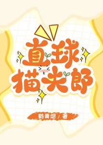 《直球小夫郎》