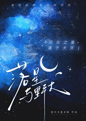 《落星与野犬》