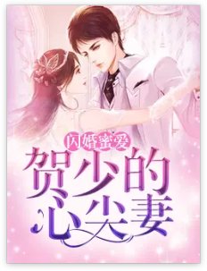 《闪婚蜜爱:贺少的心尖妻》