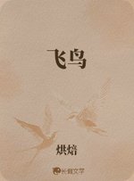 《飞鸟》