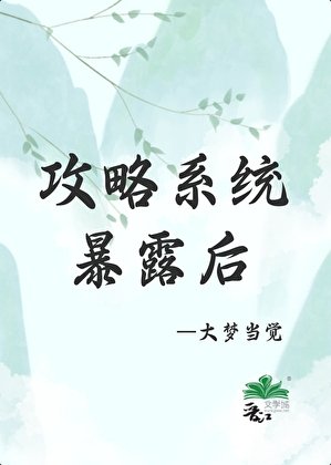 攻略成功后，系统暴露了