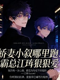 《娇妻小叙哪里跑!霸总江珩狠狠爱》