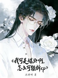 《我可是媒公啊,怎么可能拆cp》