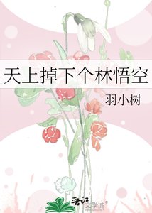 天上掉下个林悟空