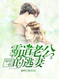 《惊情一夜 霸道老公的逃妻》