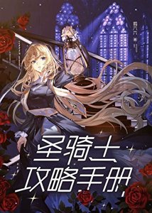 《圣骑士攻略手册》