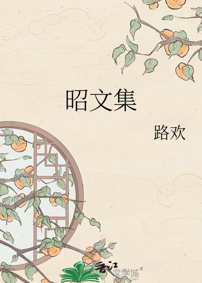 《昭文集》
