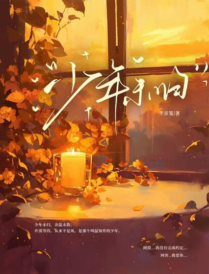 《少年未归》