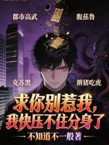 《求你别惹我,我快压不住分身了》